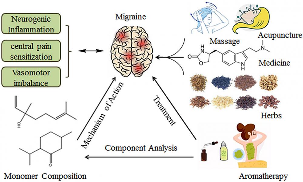 Review of aromatherapy essential oils and their mechanism of action